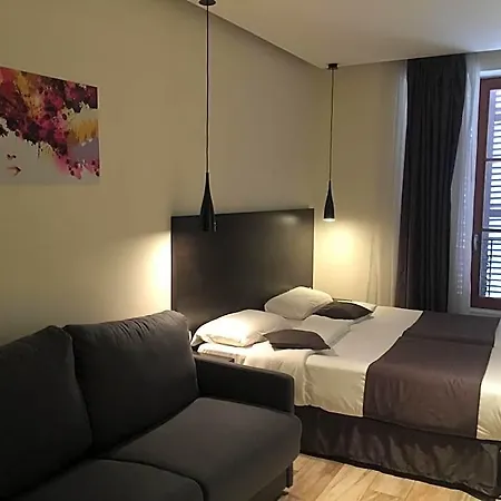 Central Hotel Hotel 3*